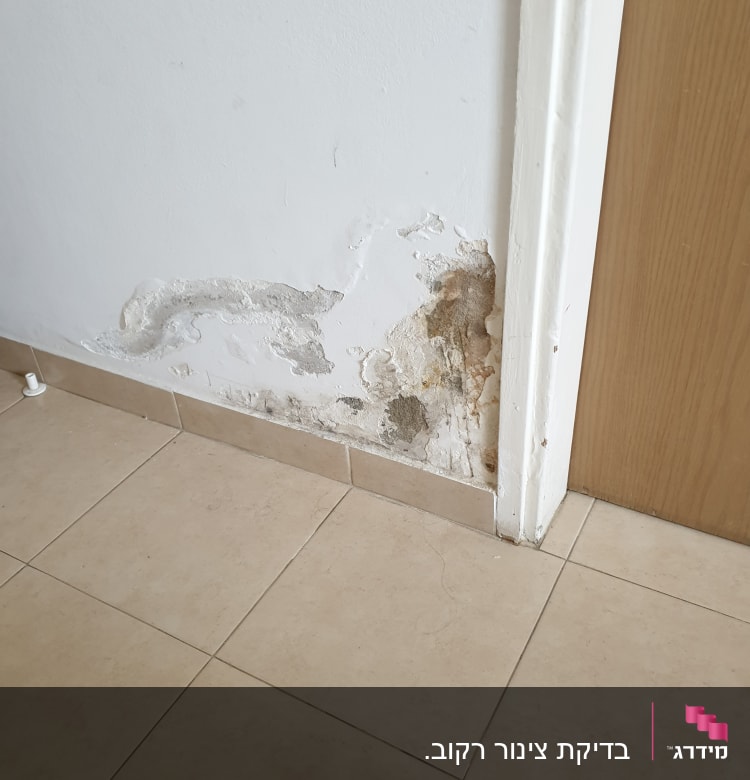קיר עם רטיבות ונזקי מים ליד דלת